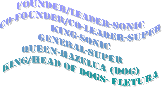 FOUNDER/LEADER-SONICCO-FOUNDER/CO-LEADER-SUPERKING-SONICGENERAL-SUPERQUEEN-HAZELUA (DOG)KING/HEAD OF DOGS- FLETURA