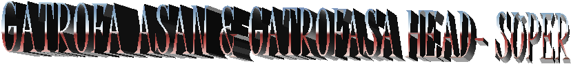 GATROFA ASAN & GATROFASA HEAD- SUPER
